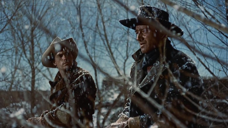 The Searchers (1956)